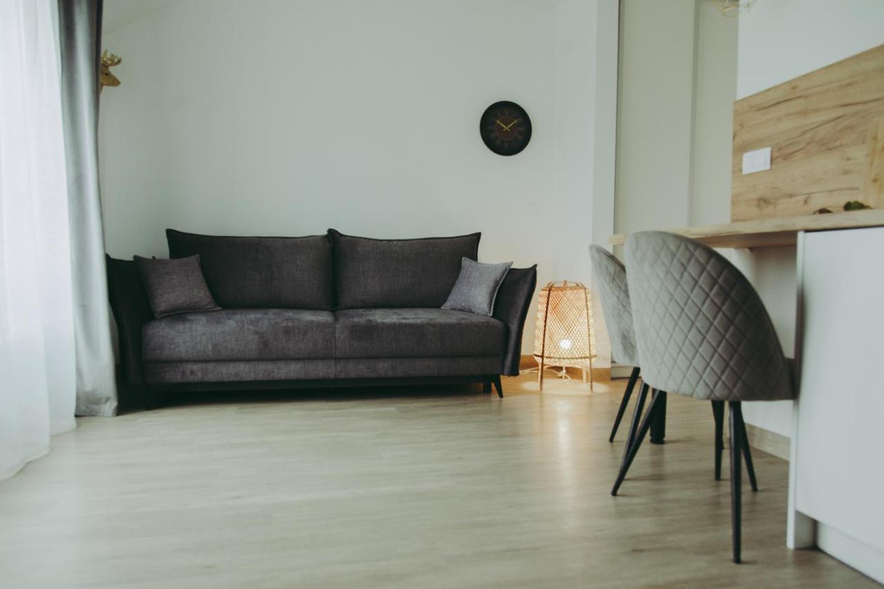 Wilczarz Apartment Duszniki Zdrój Exterior foto